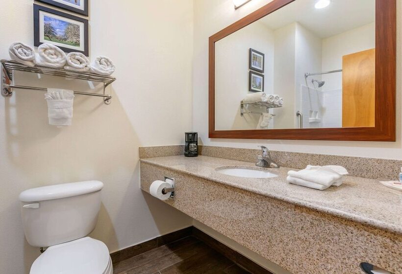 فندق Comfort Suites