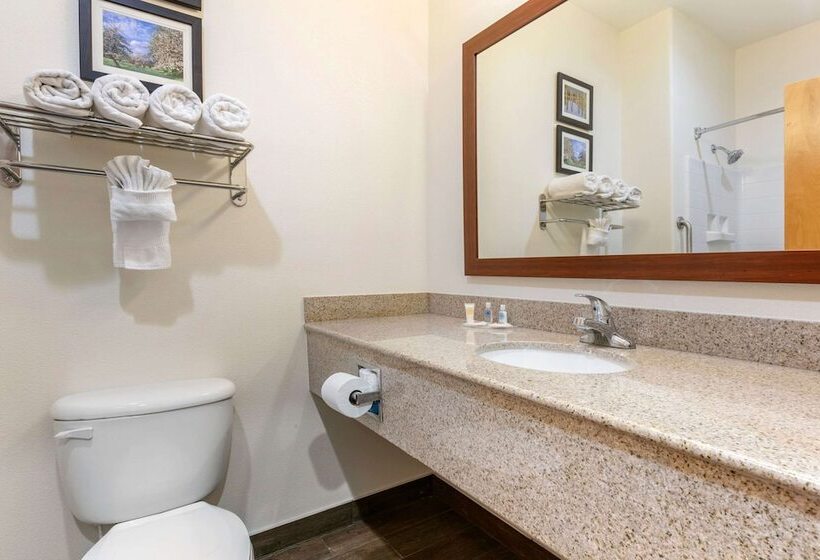 فندق Comfort Suites