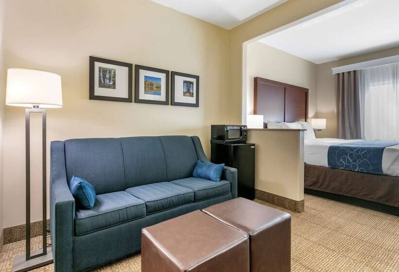 فندق Comfort Suites