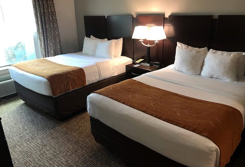 Отель Comfort Suites