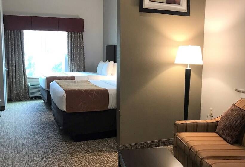 ホテル Comfort Suites