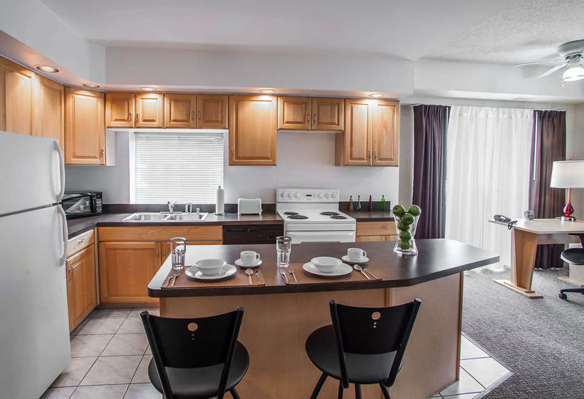 호텔 Comfort Suites Michigan Avenue - Loop