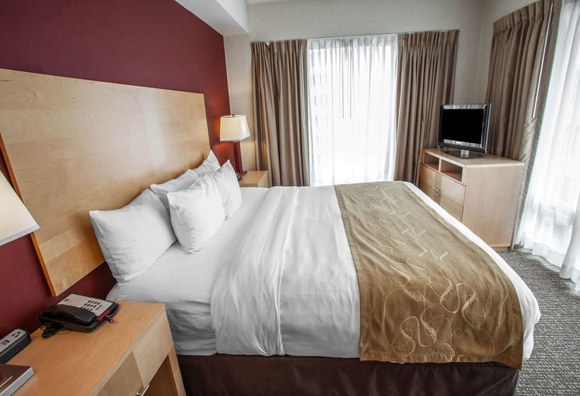 호텔 Comfort Suites Michigan Avenue - Loop
