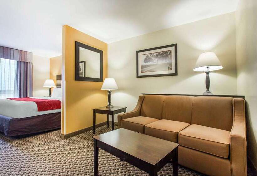 فندق Comfort Suites Clinton Near Presbyterian College