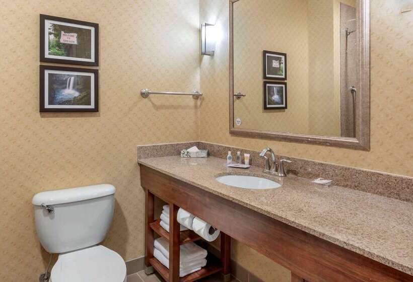 호텔 Comfort Suites Eugene