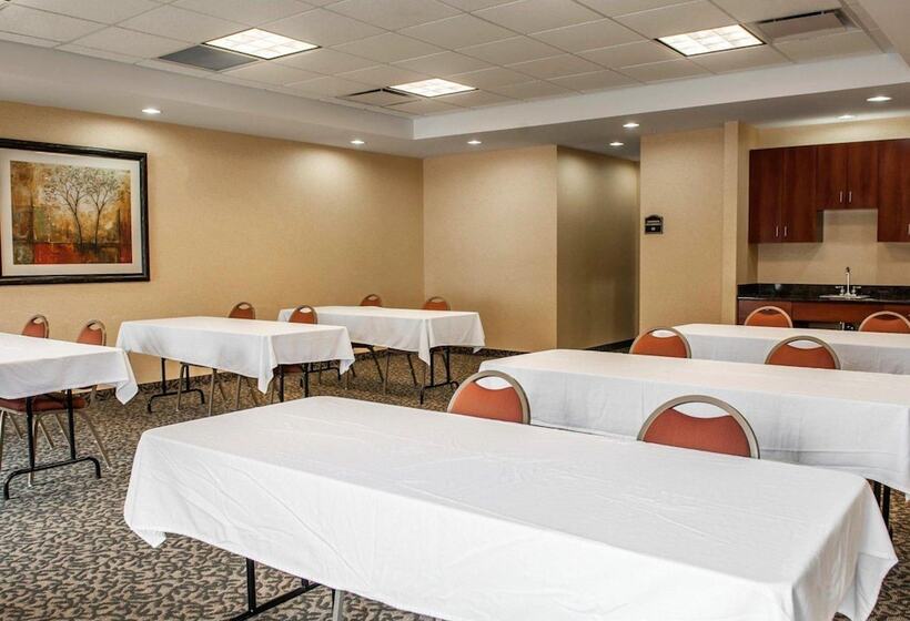 בית מלון כפרי Comfort Suites Near Indianapolis Airport