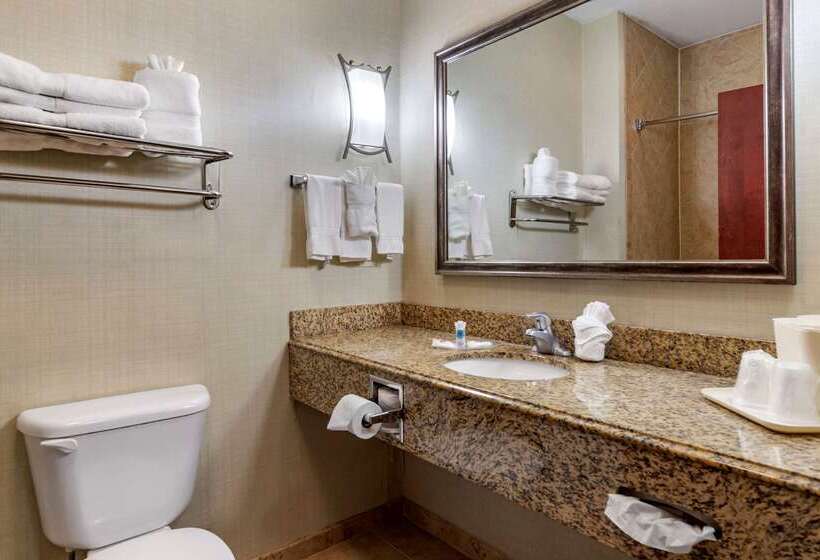 هتل Comfort Suites Near Texas A&m   Corpus Christi