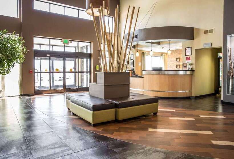 هتل Comfort Suites New Bern Near Cherry Point