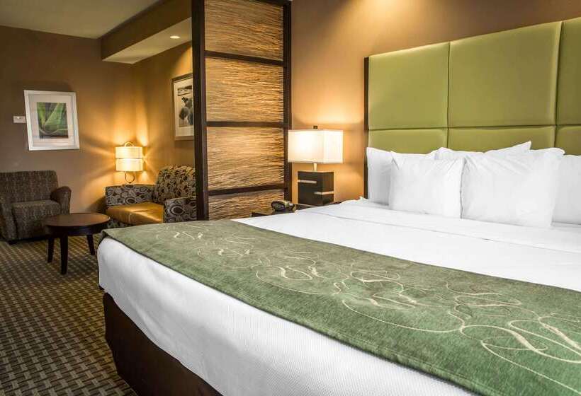 هتل Comfort Suites New Bern Near Cherry Point