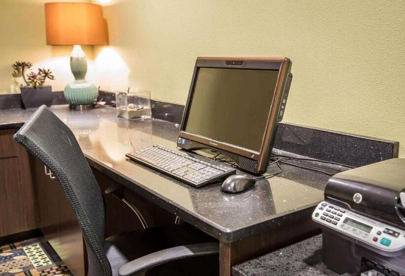 هتل Comfort Suites New Bern Near Cherry Point