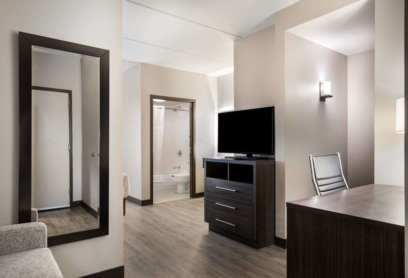 酒店 Comfort Suites Northlake