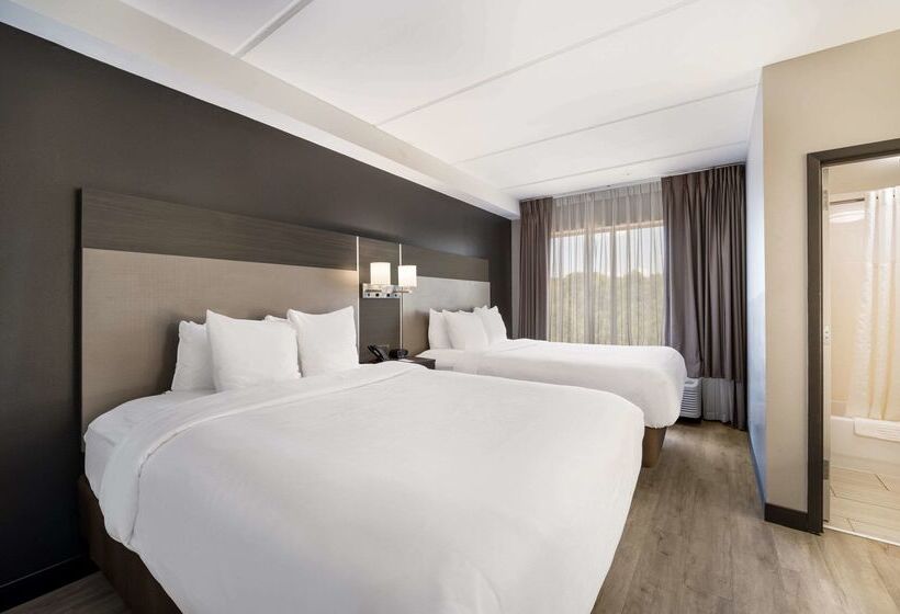 酒店 Comfort Suites Northlake