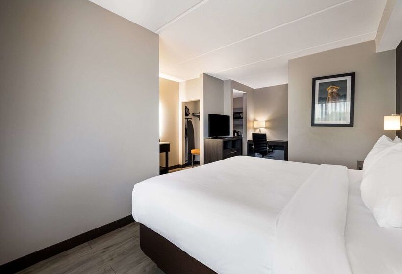 酒店 Comfort Suites Northlake