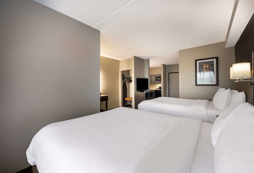 酒店 Comfort Suites Northlake