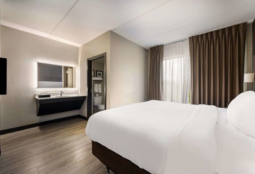 酒店 Comfort Suites Northlake