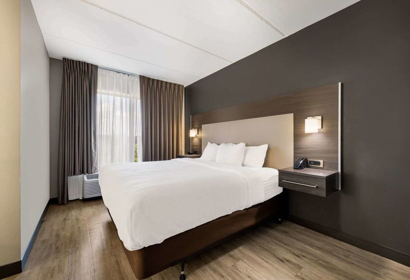 酒店 Comfort Suites Northlake