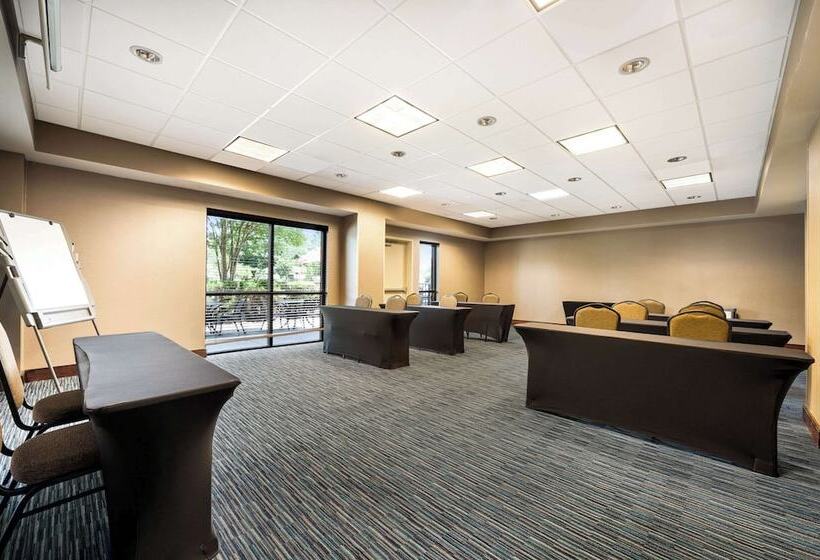 酒店 Comfort Suites Northlake