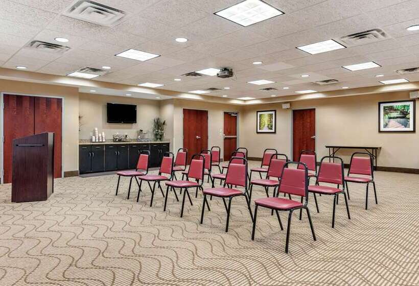 ホテル Comfort Suites South