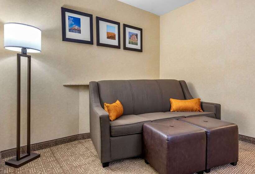 ホテル Comfort Suites South