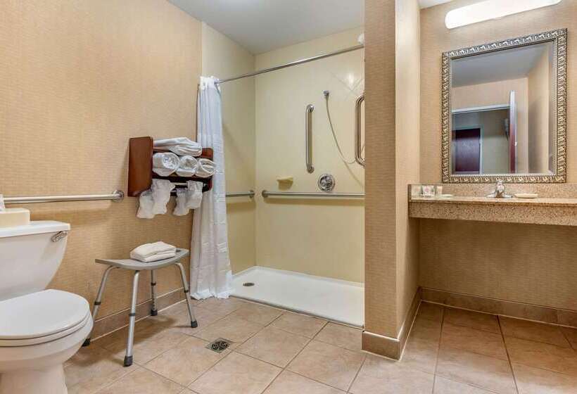 ホテル Comfort Suites South