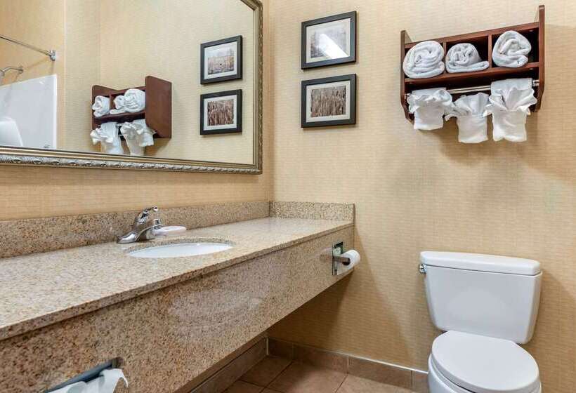 ホテル Comfort Suites South