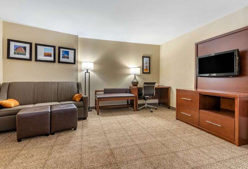 ホテル Comfort Suites South