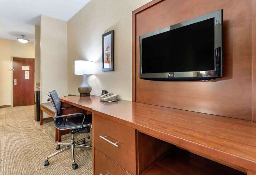 ホテル Comfort Suites South