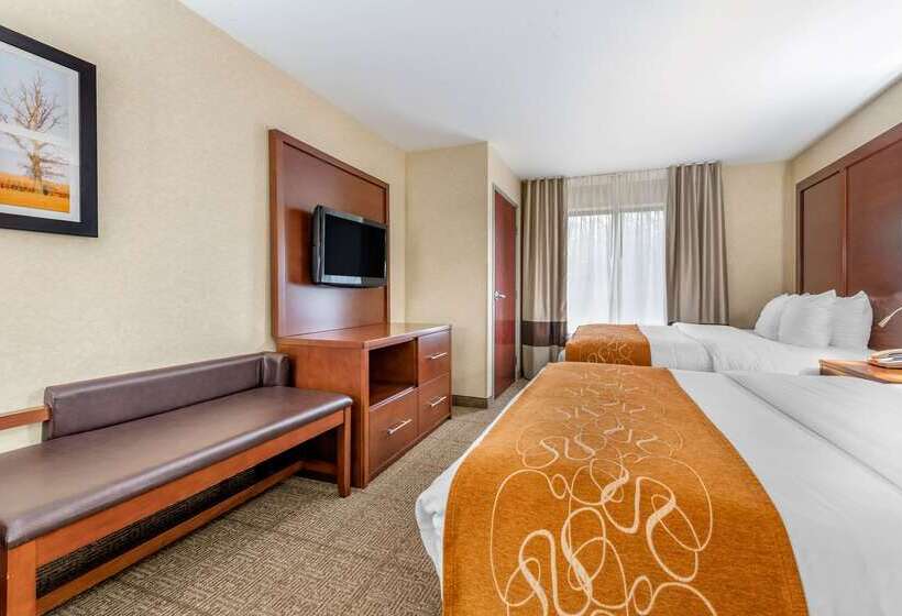 ホテル Comfort Suites South