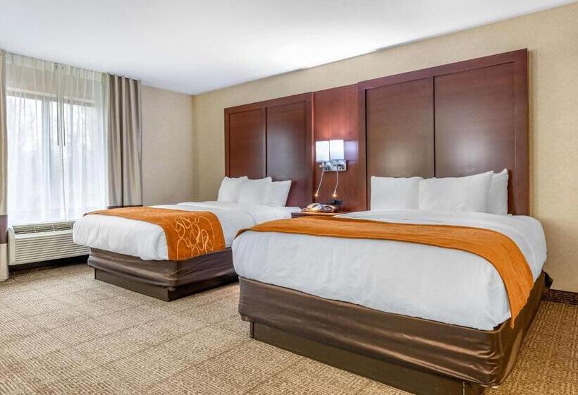 ホテル Comfort Suites South