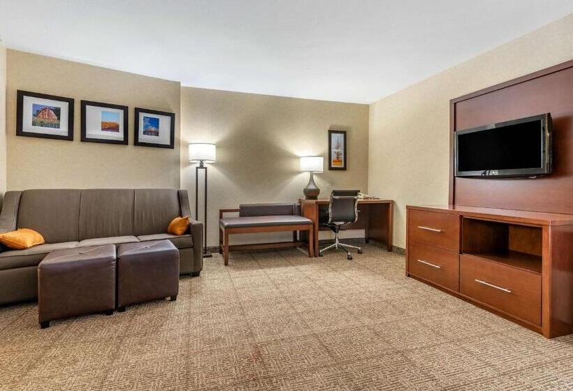 ホテル Comfort Suites South