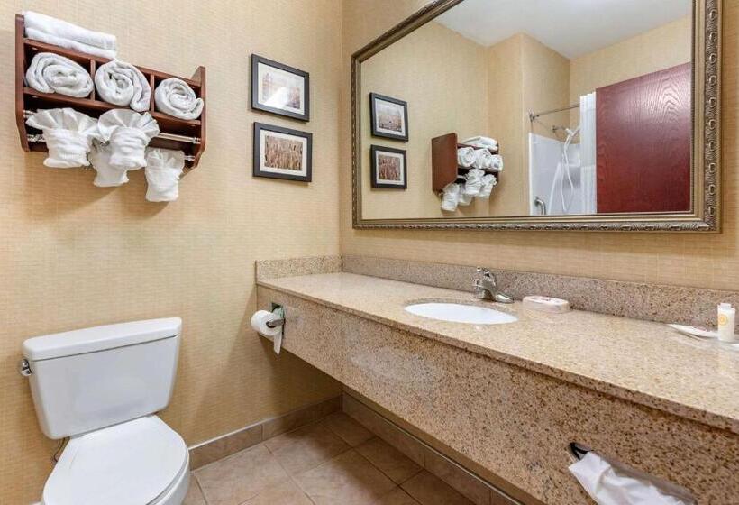 ホテル Comfort Suites South