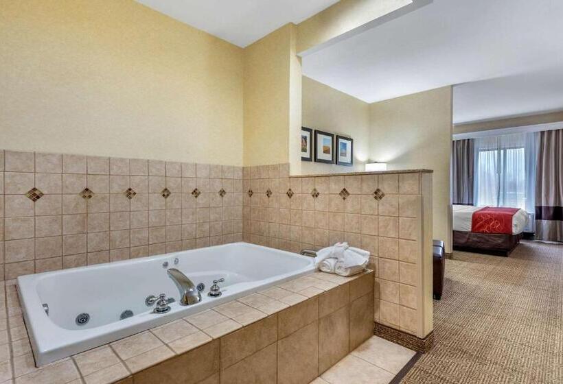 ホテル Comfort Suites South