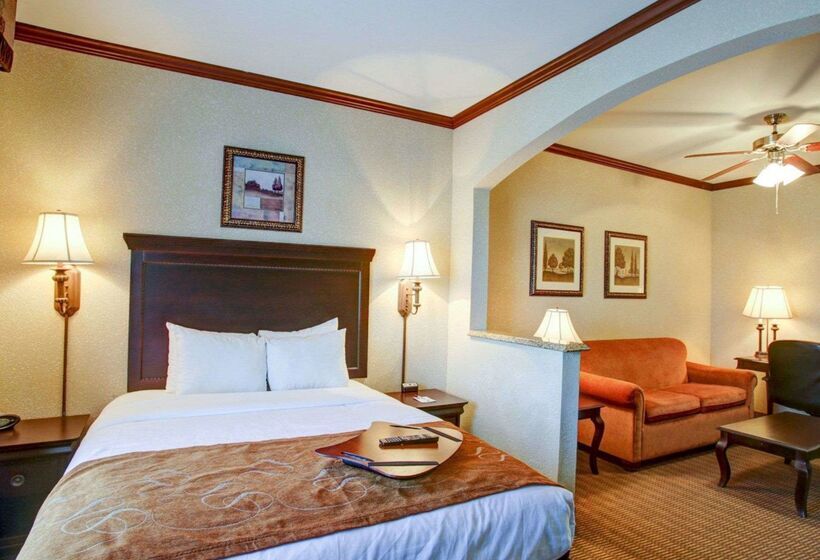 فندق Comfort Suites University Drive