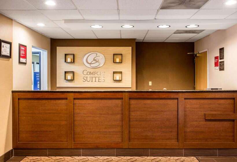 هتل Comfort Suites Wilmington Near Downtown