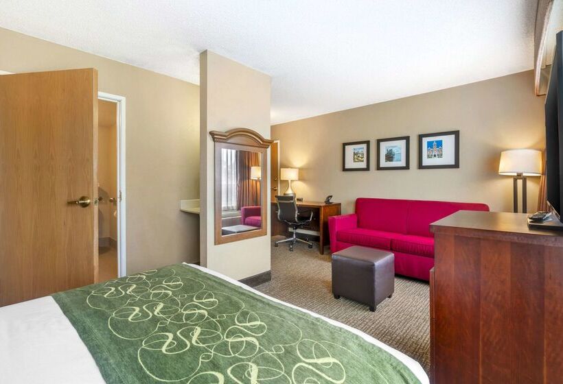 ホテル Comfort Suites Wilmington Near Downtown