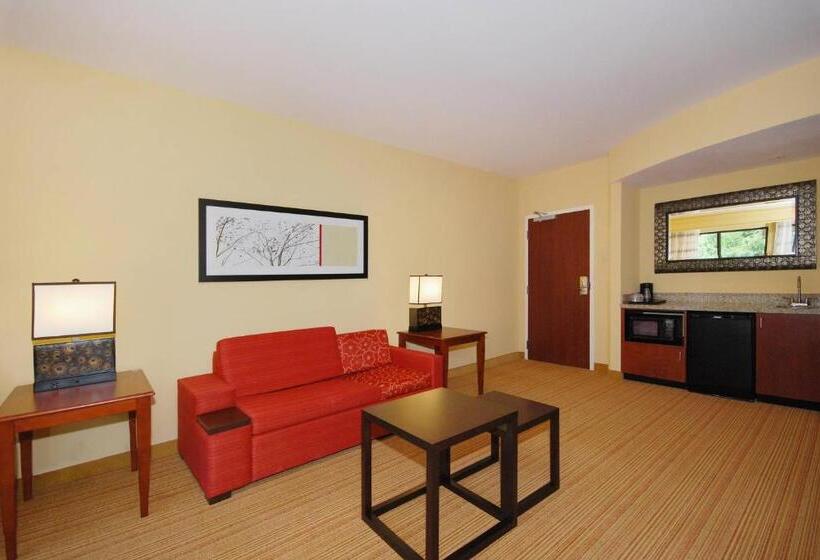 酒店 Courtyard By Marriott Vicksburg