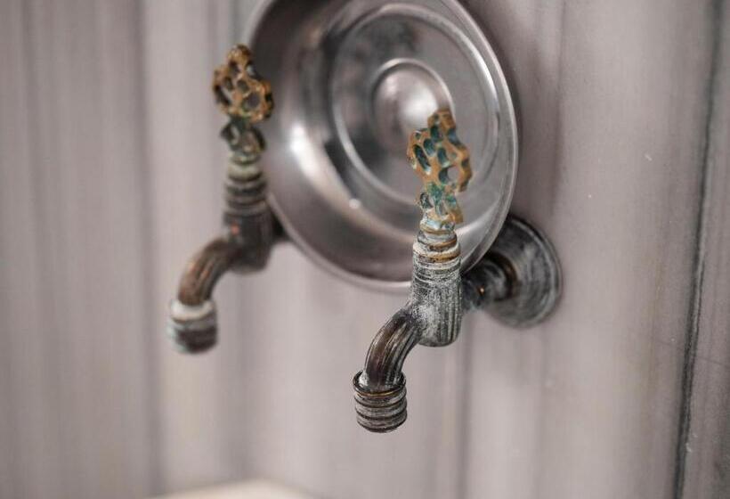 호텔 Dalaman Airport Lykia Thermal & Spa