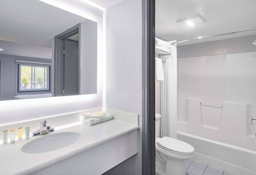 酒店 Days Inn & Suites By Wyndham Niagara Falls/buffalo