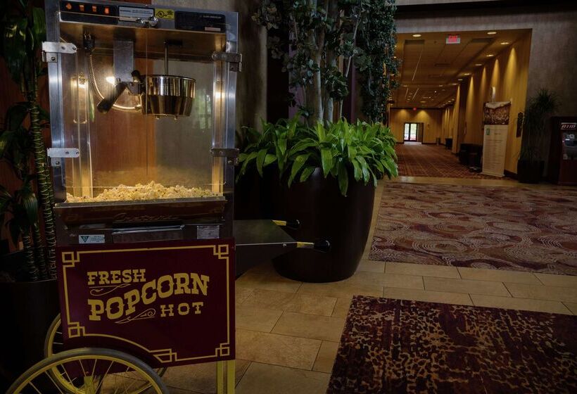 Отель Embassy Suites By Hilton Minneapolis North