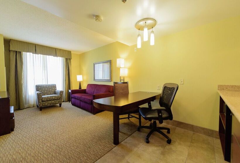 Отель Embassy Suites By Hilton Minneapolis North