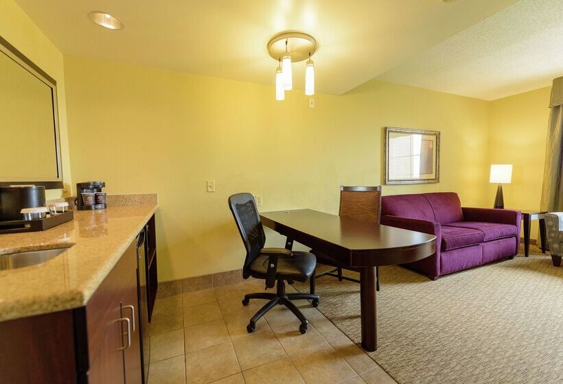 Отель Embassy Suites By Hilton Minneapolis North