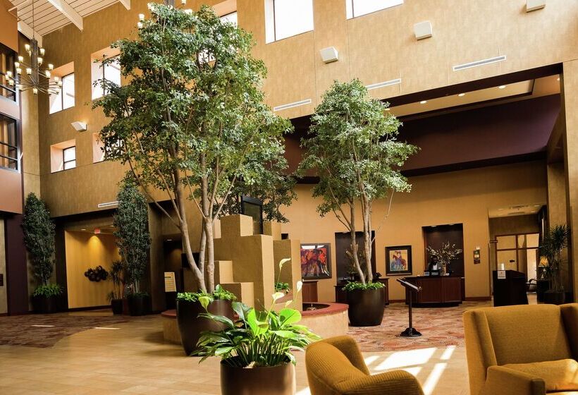 Отель Embassy Suites By Hilton Minneapolis North