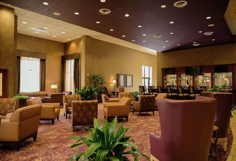 Отель Embassy Suites By Hilton Minneapolis North