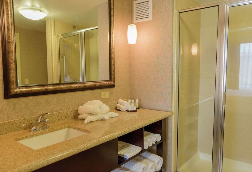 Отель Embassy Suites By Hilton Minneapolis North