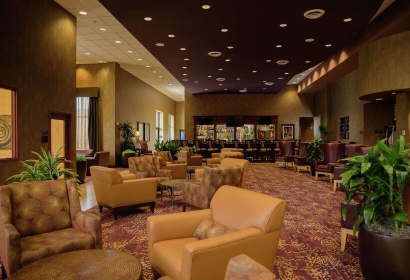 Отель Embassy Suites By Hilton Minneapolis North