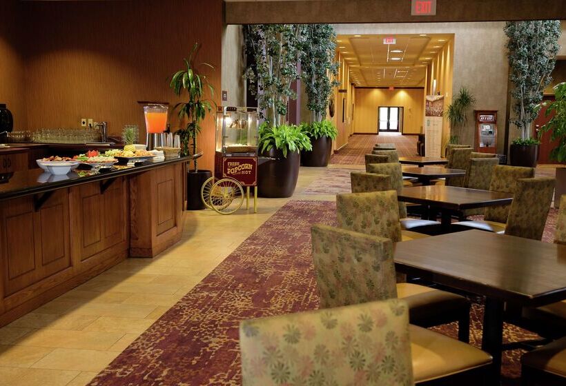 Отель Embassy Suites By Hilton Minneapolis North