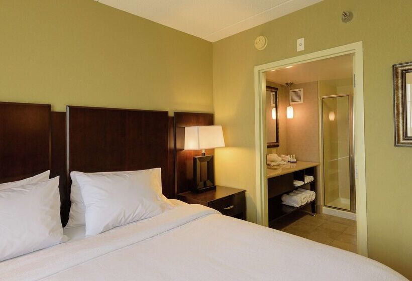 Отель Embassy Suites By Hilton Minneapolis North