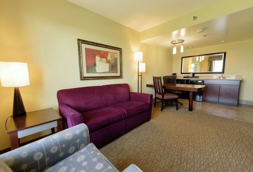 فندق Embassy Suites By Hilton Minneapolis North