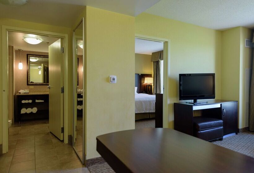 Отель Embassy Suites By Hilton Minneapolis North