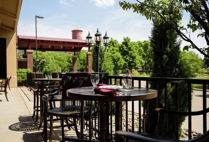 Отель Embassy Suites By Hilton Minneapolis North